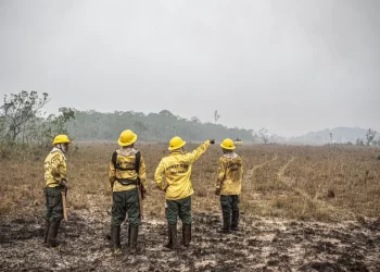 © Mayangdi Inzaulgarat/Ibama