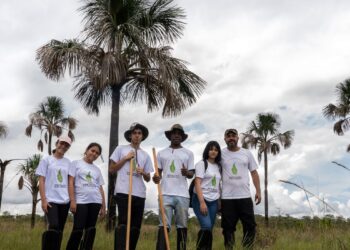 © Katarina Silva/Coletivo Miracema/WWF-Brasil